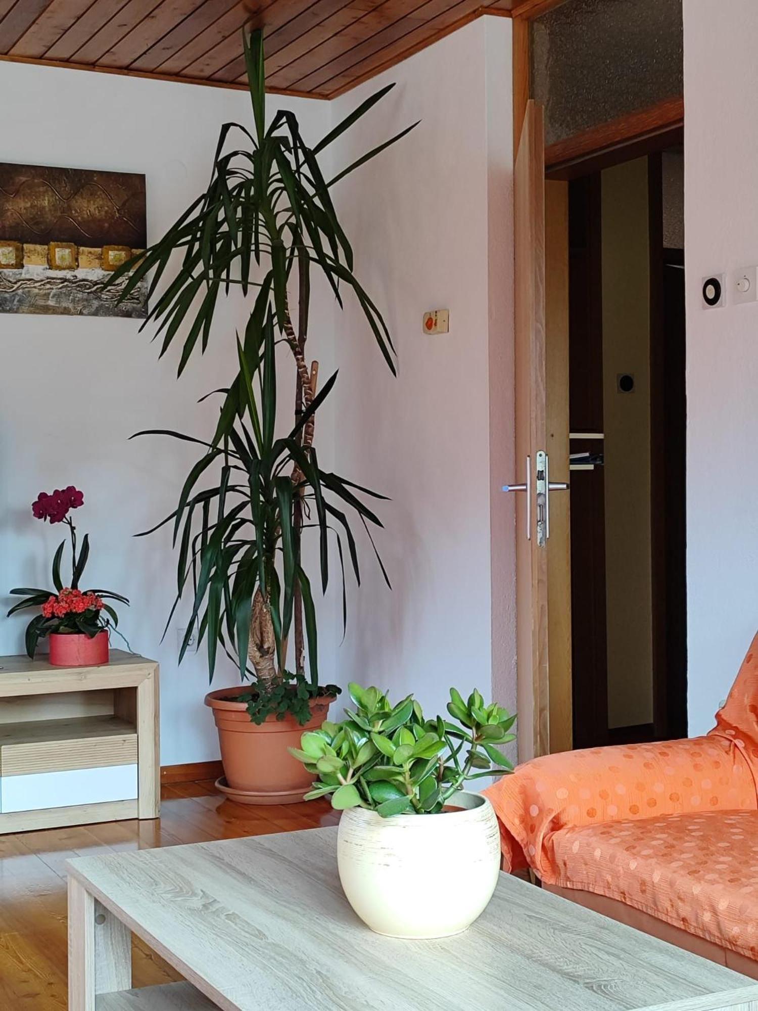 Apartment Kolman Толмин Экстерьер фото